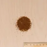 Potagères - Cresson de Fontaine à Larges Feuilles - MEDIA_3D